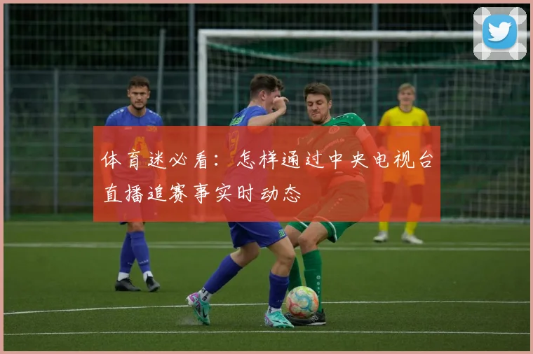 体育迷必看:怎样通过中央电视台直播追赛事实时动态